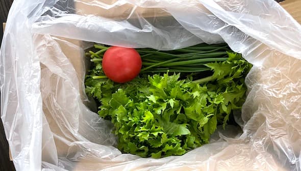 「たま農園の定期便」で、新鮮野菜を1日800〜1000g食べる男の話