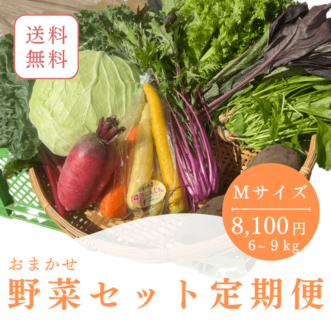 Mサイズ