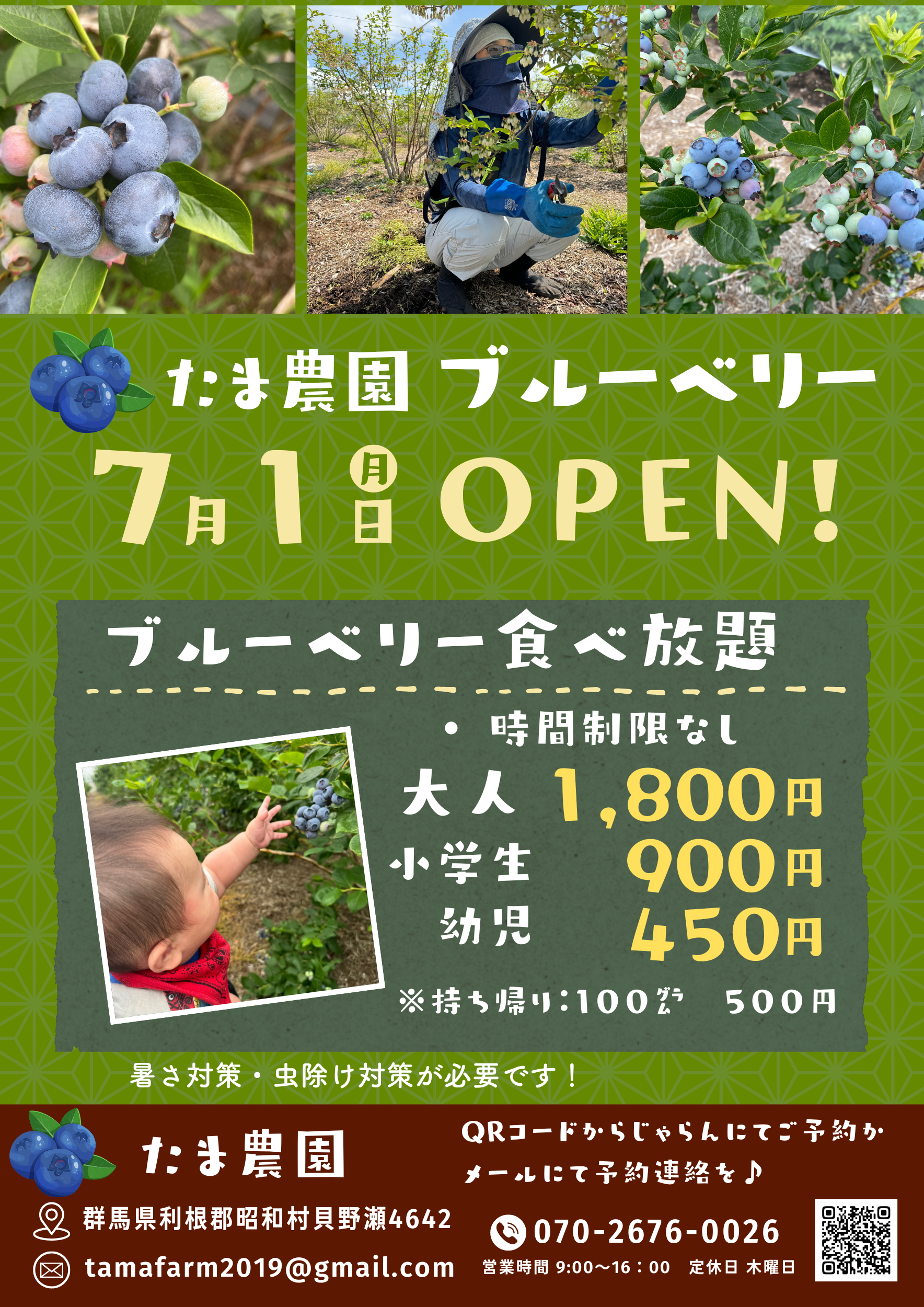 🌿たま農園のブルーベリー狩り体験🌿じゃらんにて予約受付中!