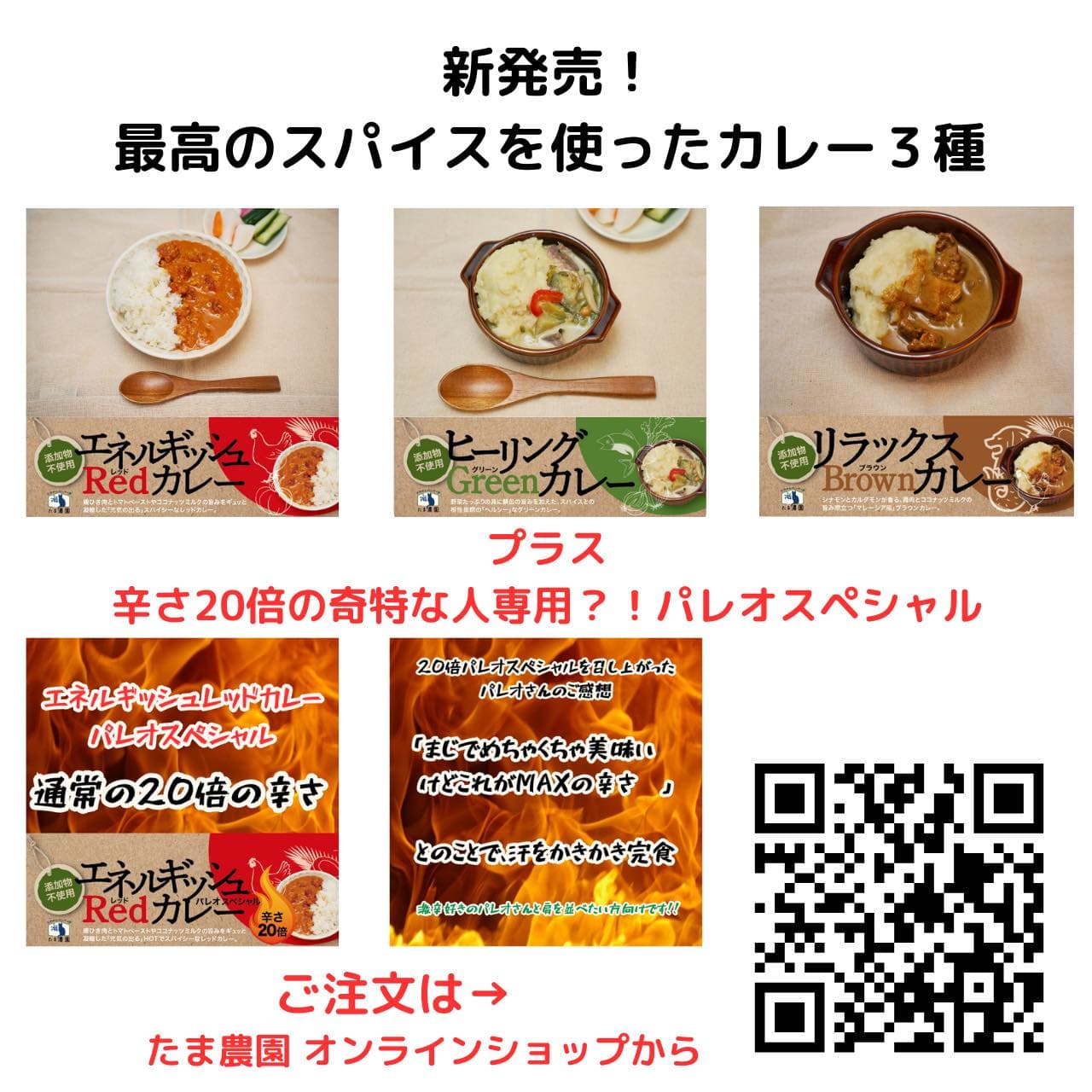 パレオさんのブログで、たま農園のパレオなカレー をご紹介いただきました!🍛🌿
